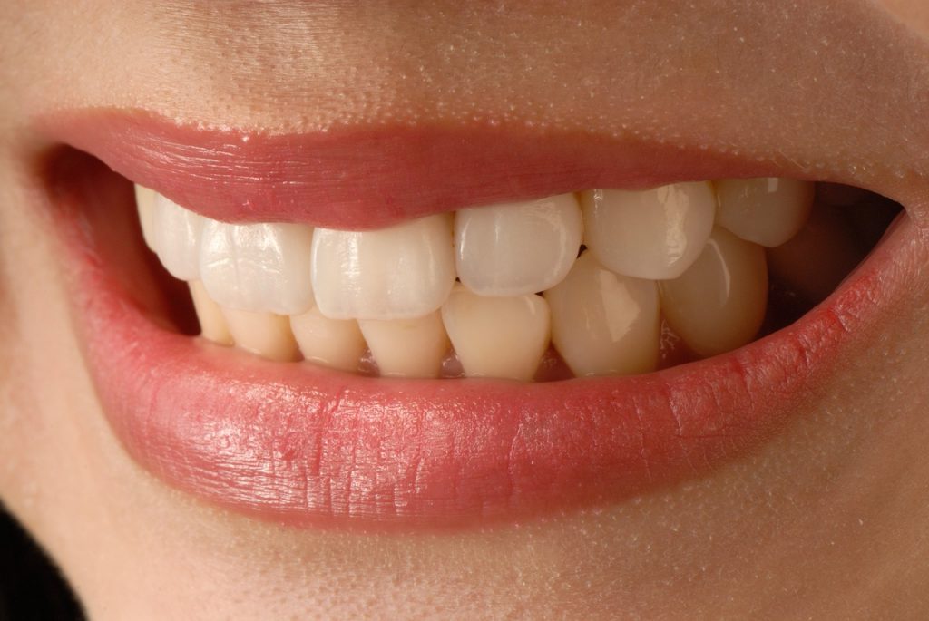 TEETH