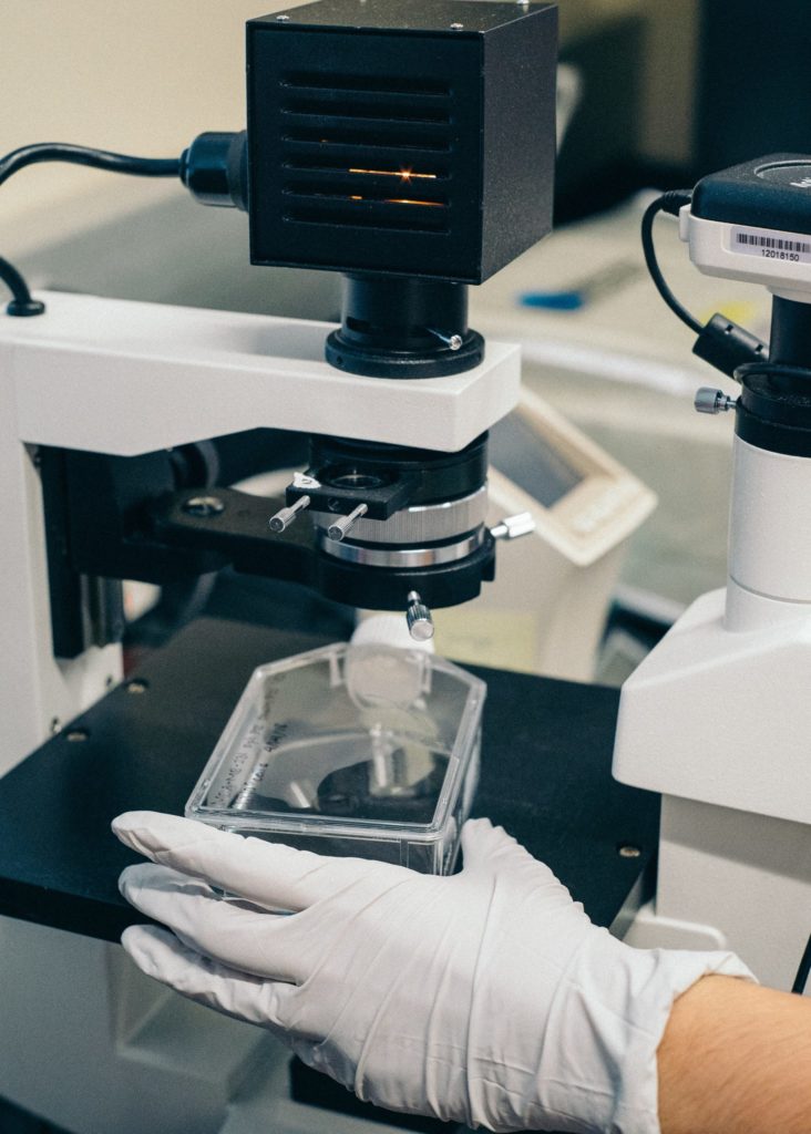 Interested in Studying Medicine? Find the Right Field 51 med 1 scaled