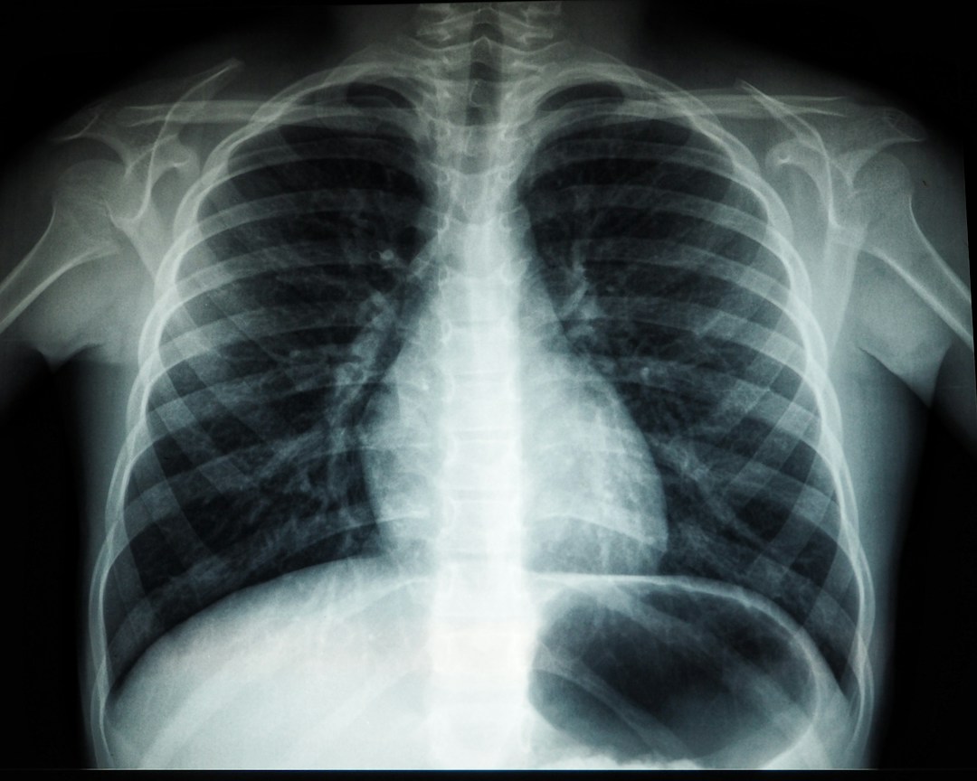 3 Career Paths for People Interested in Human Anatomy 3 img