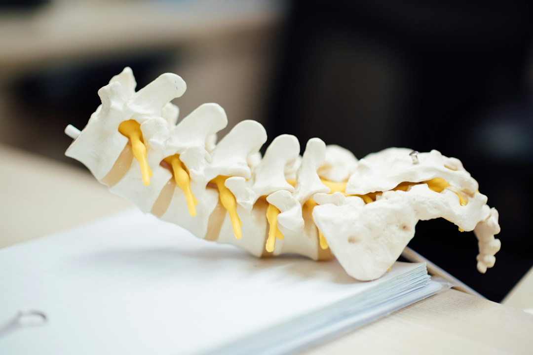 3 Career Paths for People Interested in Human Anatomy 2 img