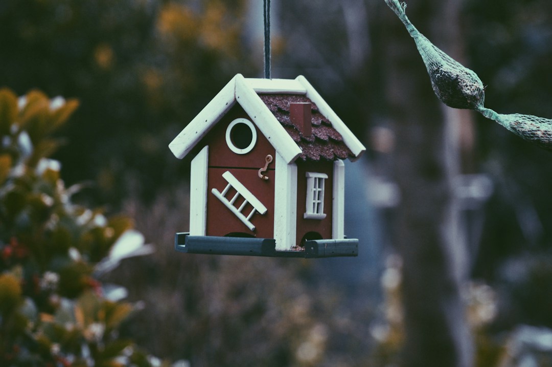5 Ways to Relax During Home Repairs 2 img