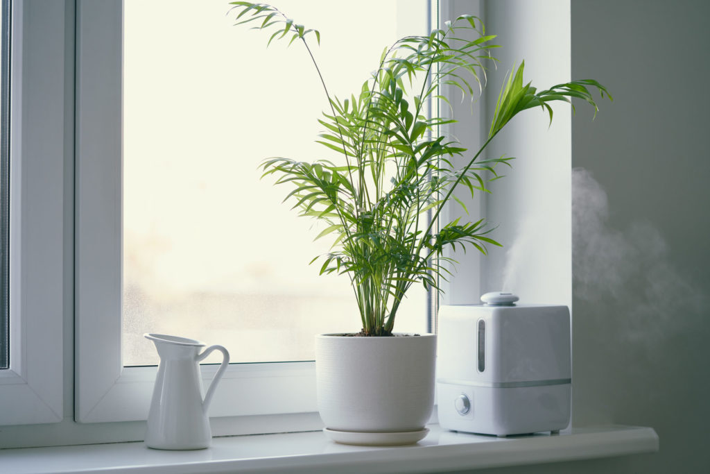 Can Water Damage Affect Your Health? 42 air puri scaled